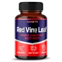Red Vine Leaf dodatek s Koňský Kaštan, Beetroot, Ginger - Přírodní podpora pro sílu a cirkulační wellness - Vyrobeno v USA (90 Počet (balení po 1))