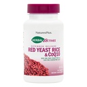 NaturesPlus Bylinné Actives Red Yeast Rice 600mg & CoQ10 100mg, Extended Release - 30 Veganských tablet - Maximální doplněk potence, Antioxidant - Vegetarian, gluten- Free - 30 Služeb