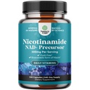 Vitamin B3 Niacinamid 500mg Kapsle - Mitochondrial Energy and Potent Skin Supplement - AKA Vitamin B3 Niacin 500mg Flush Free a Nikotinamid 500mg - Flush Free Niacin Supplement - 240 Počet