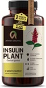 Premium Quality Costus Igneus (Inzulín Plant) Kapsle - Snadno spolknout 240 Veggie Kapsle (2 Měsíční dodávky) - Made in The USA - Včetně Kompletního programu zdravotní podpory