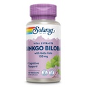 SOLARAY Ginkgo Biloba Extract with Gotu Kola - Ginko Biloba Kapsle pro podporu zdraví mozku - Vegan, Laboratoř ověřená, 60denní záruka - 60 Služeb, 60 VegCaps (60 VegCaps)