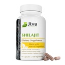 Jiva Botanicals Shilajit Capsules 700 mg - Shilajit Extract with Fulvic Acid - Shilajit Supplemente for Men & Women - 90 Vegan Capsules for Daily Wellness - 90 Count (Pack of 1)