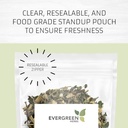 Evergreen Byliny Cuachalalalalate Herb (Amphipetyglum Adstringens) - Resealable Stand Up Pouch zajistit čerstvost! (Tea Bags)