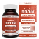 SoActive Berberine 550mg: 9.6X Vyšší Absorpce, Klinicky studoval, Optimalizovaný Phytosome PHAR124; Podporuje metabolismus & AMPK Activation PHARLIO124; Non- GMO, Soy- Free PHARLIO124; Klinicky validované dávkování 124; 60 Služeb