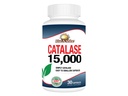 Rise- N-Shine Catalase dodatek 15000 - Výkonný antioxidační enzym pro podporu zdraví vlasů - Vlasové doplňky pro silnou podporu vlasů - 30 Kapsle