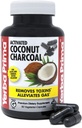 Yerba Prima Aktivované kokosové Charcoal, 60 Kapsle - Přírodní Detox - Vegetarian, Vegan, Gluten Free, Non GMO