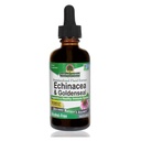 Nature 's Answer Enchinacea & Goldseal CLAS124; Podporuje zdravý imunitní systém CLAS124; Super Koncentrovaný čistý extrakt CLAS124; Alcohol- Free, gluten- Free, Vegan & Kosher Certified 2oz