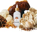 Rainbo - 11: 11 Multi Houba Tinktura - 11- in-1 Dual Extract Mushroom Blend - Komplexní imunitní podpora, Podpora mozku, Liquid Lion 's Mane & Turkey Tail, Vegan, Non GMO, 3.4 fl oz
