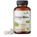 Futurebiotika Ginkgo Biloba Extra Síla podporuje mozkovou funkci a podporu paměti, 250 Vegetariánské Kapsle