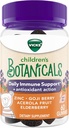 Vicks Children 's Botanicals Daily Imunitary Support * + Antioxidant Action, Gummies, Made with Zinek, Goji Berry, Acerola Fruit, and Elderberry, 60 ct