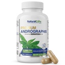 Natural Cure Labs Premium Andrographis Paniculata Extract 1,200mg s 100mg Andrographolides Vegan Kapsle pro imunitní a stravitelnou podporu, Non- GMO, gluten zdarma, bylinné dietní dodatek