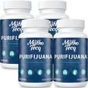 1500 MG Detox a čištění, Detox těla pro muže a ženy, Rychlé detox, Ledviny čištění Detox & opravy, Přírodní Bylinné Premium Formule pro játra, Močové Trakt, Digestion & Mood, Vyrobeno v USA, 240 Caps