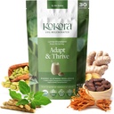 Adapt & Thrive - Energy & Stress Resilience, Organic Ashwagandha & Cordyceps Blend na podporu zdravé funkce nadledvin Káva Alternative