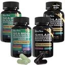 Boysea. Shilajit a Moss Bundle- 90 Hrabě - Mos Moss, Black Seed Oil, Ashwagandha, Ginger & Shilajit, Rhoddiola Rosea, Vše v 1 Doplňky (2 Pc)