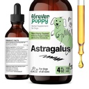 Navždy štěňata Astragalus kořenové kapky pro psy - Astragalus Membranaceus Extract pro psy 'imunitní podpora - Bylinné Pet tekuté doplňky pro imunitu a veselé Pet Care - 4 oz