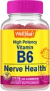 WellYeah High Potency Vitamin B6 Gummies - Promotes Nerve Health, Cognitive Function, Mood Regulation, Imunitary Support, and Cardiovaskulární zdraví - Vegan, Non- GMO, Gluten- Free - 60 Počet
