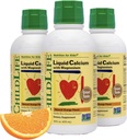 Dětský život Essentials Tekutý doplněk vápníku pro děti - Baby vápník s hořčík, zinek, a vitamin D3 - Orange Flavor, 16 fl oz (3 balení)