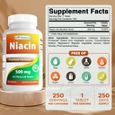 Nejlepší Naturals Niacin 500mg 250 Tablety s Flushing - Také nazývá vitamin B3 (250 Počet (Balení po 2))