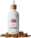 Rainbo - Chaga Houba Tinktura - Dual Extract Houba Dodatek - Imunitní podpora, Cellulární Podpora, Tekutá Chaga Dodatek, Vegan, Non GMO, 3.4 fl oz