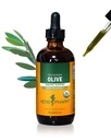 Herb Pharm Certified Organic Olive Leaf Liquid Extract pro podporu imunitního systému, 4 Fl Oz