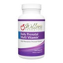Wellness Resources Denní Prenatal Multi Vitamin - Methylovaný folát zinečnatý bisglycinát Cholin & Key Nutrients - Přírodní Prenatální Postporodní vitamíny pro ženy - 120 Caps