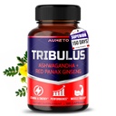 Tribulus Terrestris 98% Saponiny - Enhanced 12- in-1 Formule s Yohimbin, Red Panax Ginseng, Ashwagandha pro zvýšení energie, Stamina & Endurance * - Made in The USA