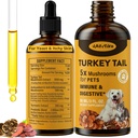 Turkey Tail Houba pro psy - rychlejší Absorpce 2000mg Turkey Tail Houba pro Imunity & Digestive, Joint, Energy, 5X Houby pro Pet Drop s turmeric & Probiotic - Vet Incorporated, 90 ML / 3FL.oz