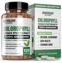 Benevolentní chlorofylové kapsle 350mg - 100% přírodní + Ultra chlorofyl 20x Koncentrace potence pro energetickou podporu, Imunitní podpora, Vnitřní deodorant, Zdraví pokožky, Non- GMO, 120 Kapsle