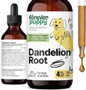 Navždy štěňata kořínky kořínky pro psy - Tekuté játra doplněk zdraví pro velké, střední a malé psy - Játra čištění Detox Kapky w / Dandelion kořenové extrakt - 4 oz