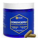 Cordyceps Houbové kapsle - 1000mg Cordyceps Extract & 125mg Yerba Mate Extract - 100% Plodící tělo Houbové doplňky - Podporuje mozek energie a kognitivní výkon - 60 Yerba Mate Kapsle