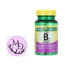 Jarní údolí Vitamin B1 Tablety Dietní dodatek, 250 mg, 100 Počet + Dri Store Nálepka.