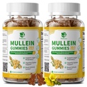(2 Pack) 9 in 1 Mullein Gummies for Lung Cleanse & Detox, Extra Strength Mullein Leaf Extract w / Quercetin, Bromelain, Elderberry & Marshmallow for Respirační, Imunity & Digestive, Vegan, 120 Count