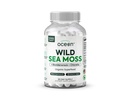 Organics Ocean Wild Sea Moss Kapsle - 100% Organic Irish Sea Moss with Organic Chlorella, Bladderwrack a Vitamin D for Energy, Lung Health a podpora štítné žlázy pro ženy a muže - 60 Kapsle