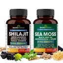 Shilajit Moss Ashwagandha Combo Bundle - Black Seed Oil, Turmeric, Rhodiola Rosea, Panax, Ginseng dodatek 124; 120 Kapsle, Lepší než Gummies, Resin Oil 124; Mořčák pro muže a ženy