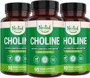 Nested Naturals Choline Bitartate 500mg 500mg 6004; High Potency Choline doplňky 124; Podporuje kognitivní výkon & funkce jater 124; 100% Vegan & Non- GMO 124; (3-Pack)