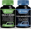 WELLNESS LABSRX Resveratrol Kapsle s kapslí Moss