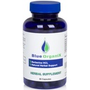 Berberine s mléčným Thistle 500mg Formule HCL Komplexní dodatek se Silymarin pro lepší absorpci, 90 Vegetariánské kapsle, 1 láhev, Celková podpora zdraví