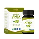 Amla 120 Tablety - USDA Organic Indian Gooseberry - Bohaté na vitamín C & Podporuje imunitní zdraví *