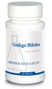 Biotika Výzkum Ginkgo Biloba Standardizované 24% Ginkgo Biloba Procent Extract, Mozkový dodatek, Nootropní, Zaměření, Energie, Paměť, Zdravé stárnutí. 60 Tablety