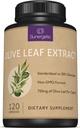 Premium Olive Leaf Extract Capsules - Standardizované na 20% Oleuropein - Super Strength Olive Leaf Exact Supplementary Supplementary Imunitary System & Cardiovaskulární zdraví - 750mg per Capsule - 120 Kapsle