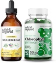 Wild & Organic Mullein kapky 4 oz & chlorofyl gumy 60 Žvýkačky