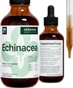 Echinacea 4 fl oz Liquid Extract - Organic Root, Leaf, Flower, Seed - Natural Bylinný dodatek - Tělo, imunitní systém podpora Tincture - High Potency Drops - 90- Day Supply - Rodinná velikost