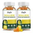 (120 ks) Mullein Gummies for Lungs Detox- Mullein Leaf Extract with Quercetin, Elderberry for Respirační a imunitní podpora, Death & Lung Cleanse for Smokers, Vegan, Ananas Flavor, (2 Pack)