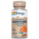 SOLARAY Fermented Cordyceps Houba 1000 mg - Zdravá energetická podpora - Fermented for Enhanced Absorption - Vegan, Non- GMO, Laboratoř ověřená - 30 Servings, 60 VegCaps