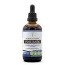 Tajemství Tribe Pine Bark Alcohol- Free Liquid Extract, Wildcrafted Pine Bark (Pinus strobus) Sušený Bark (4 FL OZ)