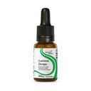 Hledání zdravotní laktázy Kapky - Tekutý doplněk s enzymem laktázy pro podporu intolerance mléka - Intolerance podpora trávení - Lactase Enzyme Supplement - 0.50 Fl oz, 52 Servings