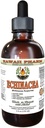 Echinacea Alcohol- Free Liquid Extract, Organic Echinacea (Echinacea Purpurea) Sušený Herb Glycerite Hawaii Pharm Natural Bylinný doplněk 4 oz