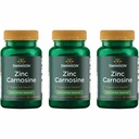 Swanson zink Carnosinus (PepZin GI) - Přírodní doplněk na podporu gastrického zdraví a stravitelné podpory - Podporuje mikrobiální rovnováhu ve žaludku - (60 kapslí) (3 balení)
