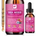 Sea Moss Liquid Drops - Organic Black Seed Oil Irish Sea Moss gel s Burdock Root, Bladderwrack, Elderberry, Vitamin C, D3, 6X Silnější Seamoss Gel pro stravovací, zdraví vlasů - Vegan