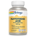 SOLARAY Pantotenová kyselina 500mg - Vitamin B 5 pro Coenzyme- Production and Energy Metabolizmus, Vlasy, kůže, a hřebíky podpora - Vegan, Laboratoř ověřená, 60denní záruka - 100 Služeb, 100 VegCaps